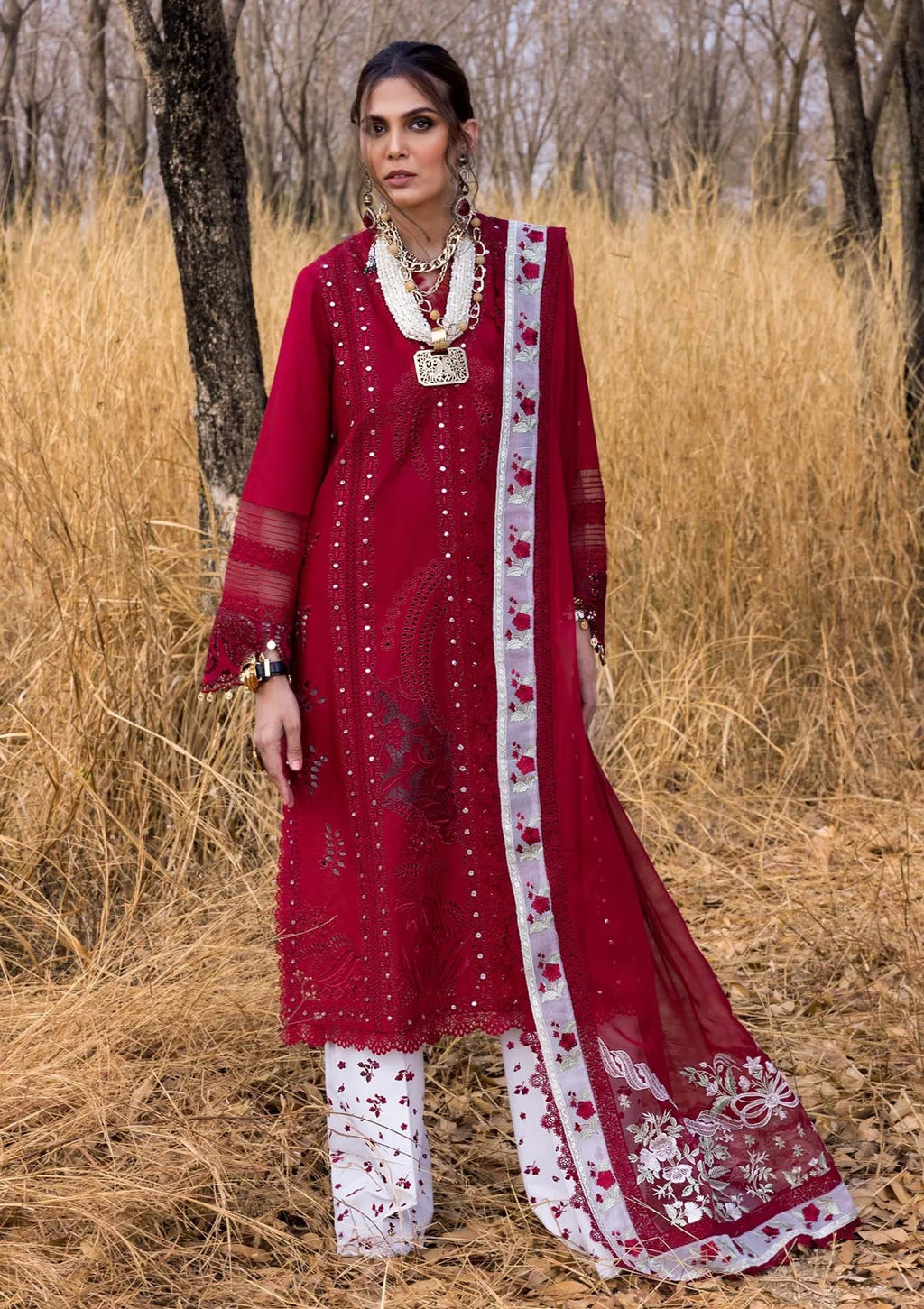 Lawn - Saira Shakira - Unstitched Festive 25 - SHAMS-A